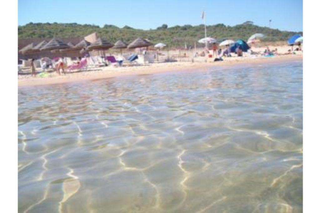 Apartamento La Stanza Vicino Al Mare , Una Camera Da Letto E Bagno Con Balcone Vista Mare Balestrate Exterior foto